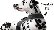 Adjustable Collar Mount Waterproof GPS Tracker for Pets GSM Dog Finder Size:S