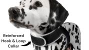 Waterproof GPS Tracker Dog Cat Rechargeable Locator with Battery Alert Size:M