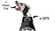 Waterproof GPS Tracker Dog Cat Rechargeable Locator with Battery Alert Size:M