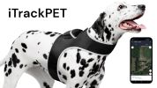 NEW Waterproof Mini GPS Dog Collar Tracker w/ Comfortable Buckle Clip Size:L