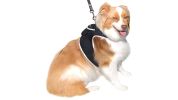 NEW Waterproof Mini GPS Dog Collar Tracker w/ Comfortable Buckle Clip Size:L