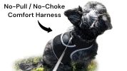 NEW Waterproof Mini GPS Dog Collar Tracker w/ Comfortable Buckle Clip Size:L