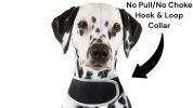 NEW Waterproof Mini GPS Dog Collar Tracker w/ Comfortable Buckle Clip Size:L