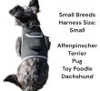 NEW Waterproof Mini GPS Dog Collar Tracker w/ Comfortable Buckle Clip Size:L